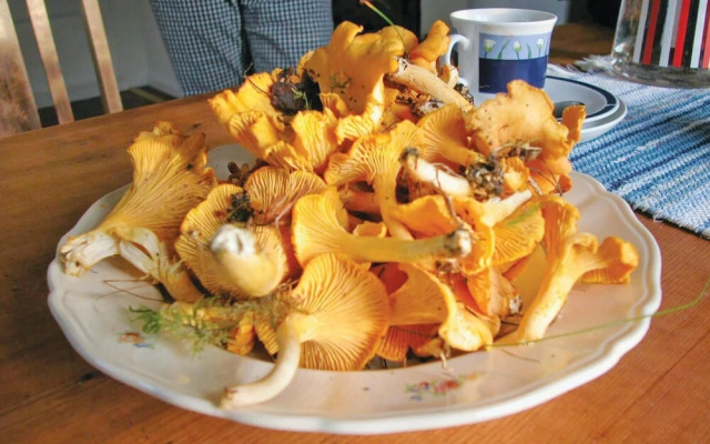 Stunning Home in Bengtsfors With 2 Bedrooms