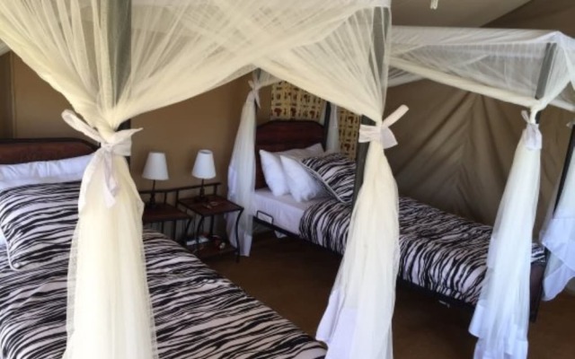 Acacia Tarangire Luxury Camp