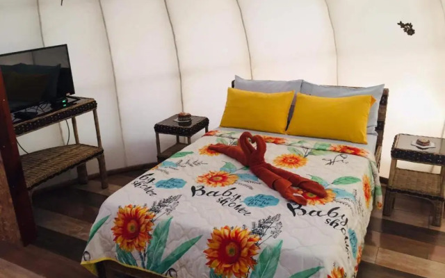 Shenanigans Glamping Resort