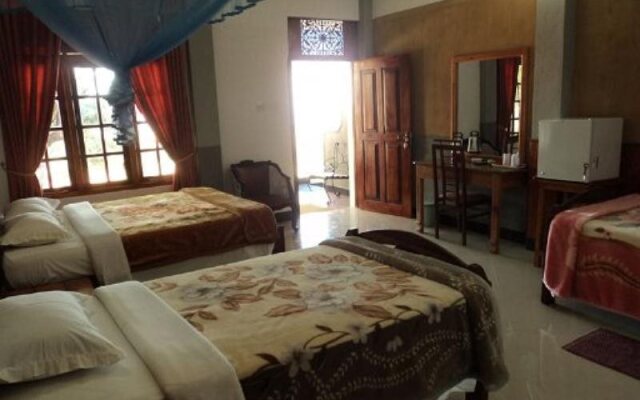 Mount Field Resort