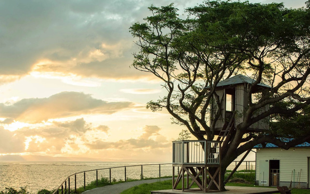 Yukusa Ohsumi Umi no Gakko