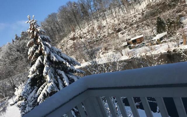 Apartment direkt an der Waldnaab