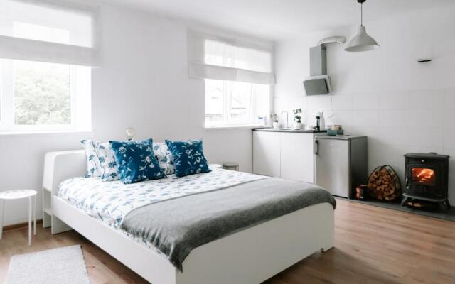 Lake Aluksne studio apartment