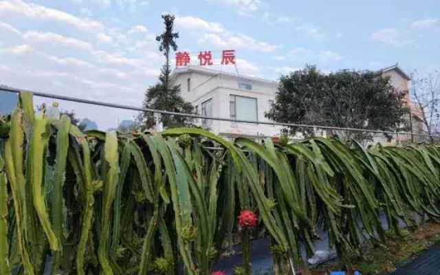 Jingyuechen Guesthouse