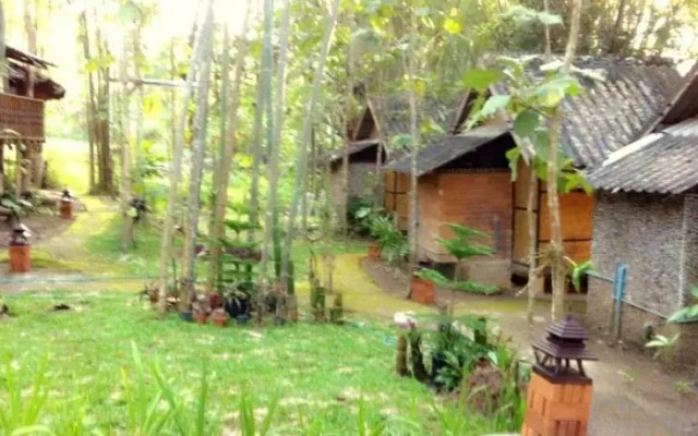 Chang Pai by John Bamboo Hut
