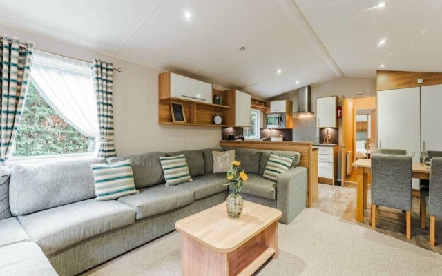 Sea Squirrel - Kelling Heath Holiday Park - 15856