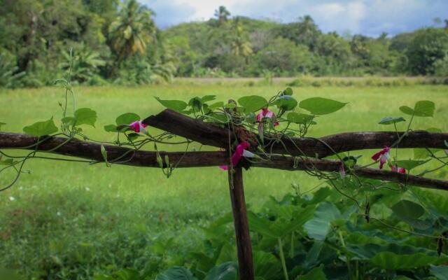 Paddy Field View Resort