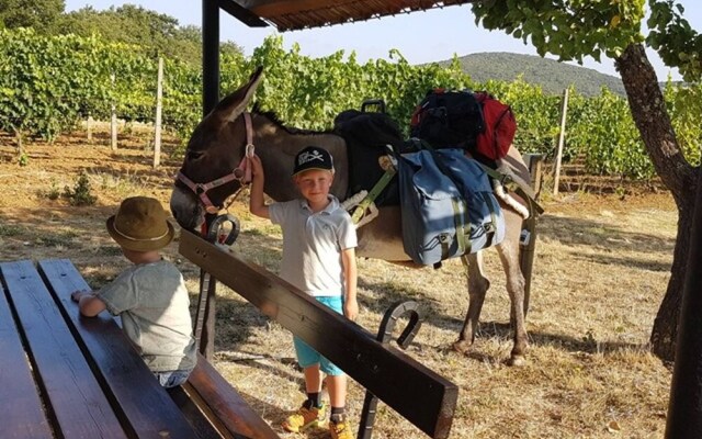 Casa Girasole Agriturismo Le Selvole Tuscany