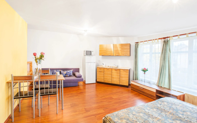 Apartment House Zizkov