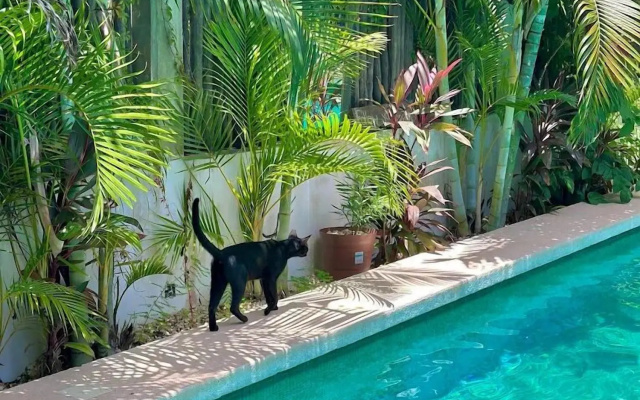Hotel Jaiba Mahahual