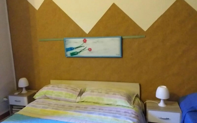 B&B Minicurcu