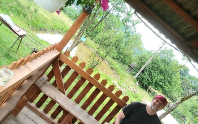 Room in Guest Room - Rural Holiday Transylvania