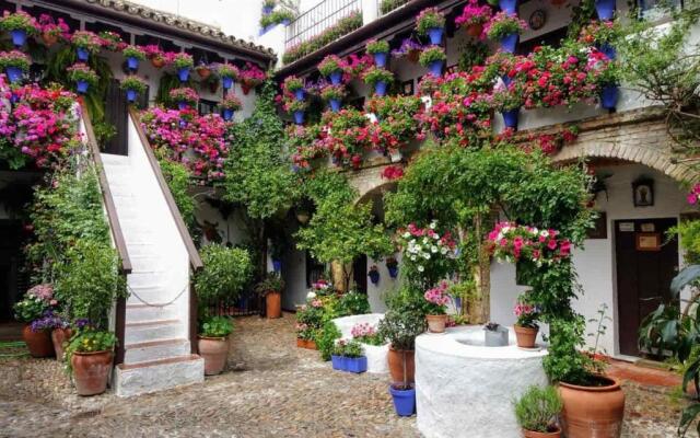 El Rincón del Abuelo