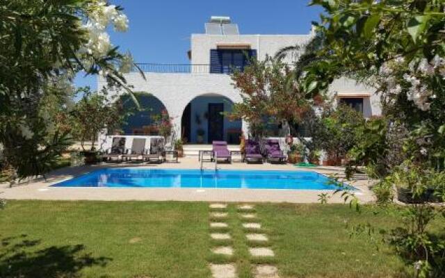 Yianna's Home