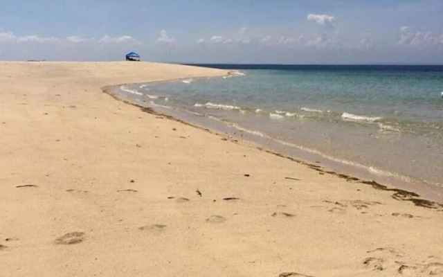 Mangrove beach bungalows