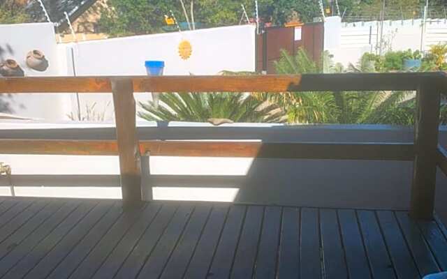 Cycad Stay