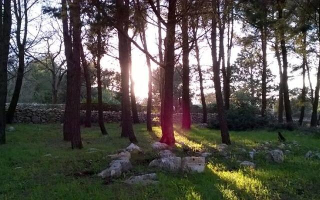 Trullo Sottoleucalipto