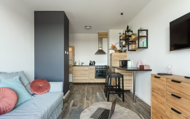 Lumina apartment on Drewnowska