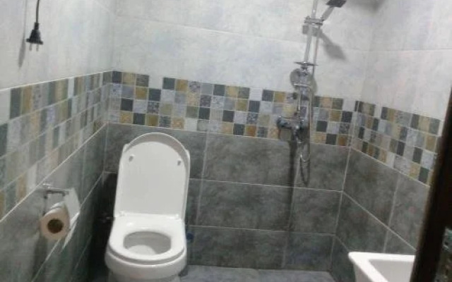 Guesthouse Mestia Oribeli
