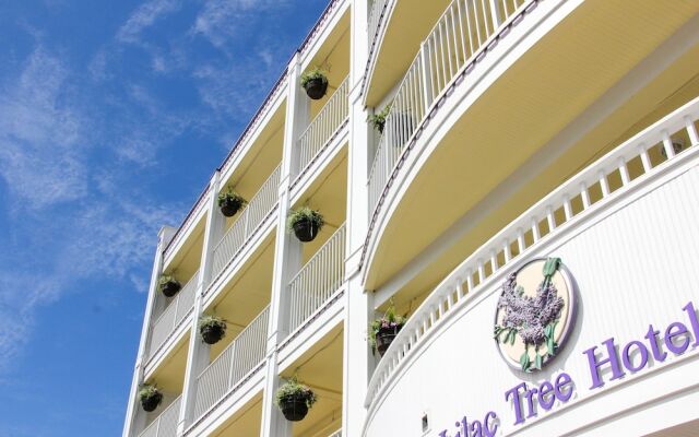 Lilac Tree Suites
