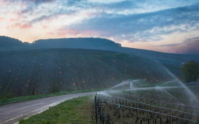 Hotel du Centre - Restaurant le Ptit Gourmet