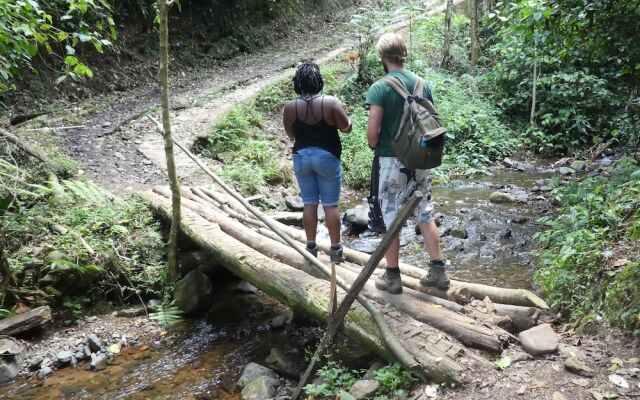 Desarrollo Biodiverso