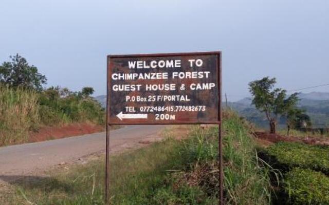 Chimpanzee Forest Guest House