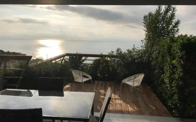 Costa Plana Collection