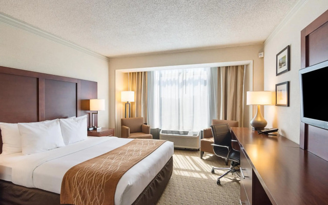 Comfort Inn by the Bay