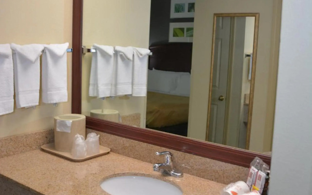 Quality Inn And Suites Dublin