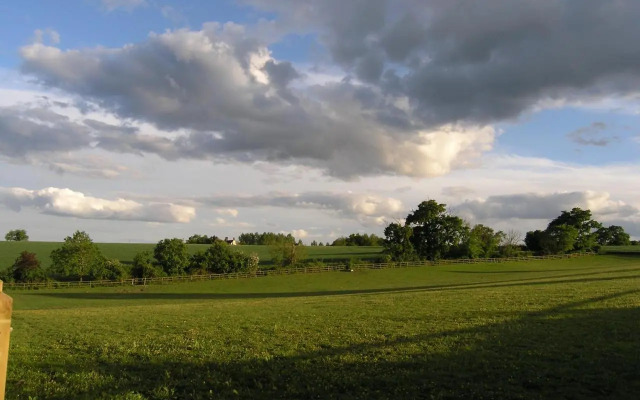 Oak Tree Farm