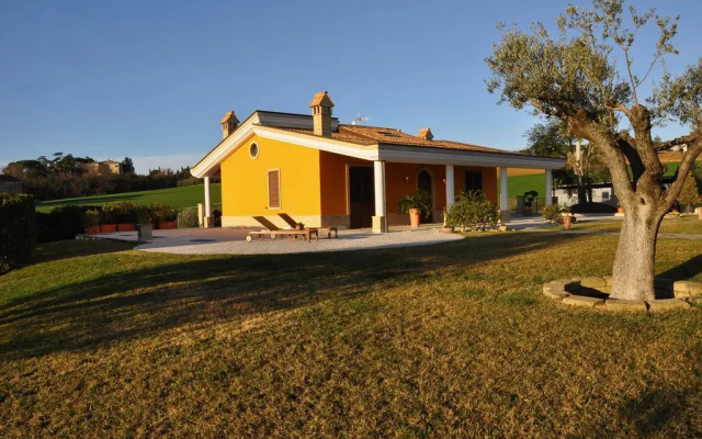 B&B Agrifoglio