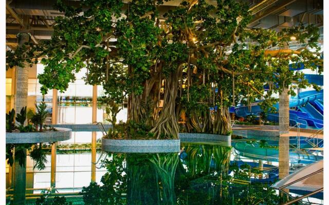 Amazonia Apartments