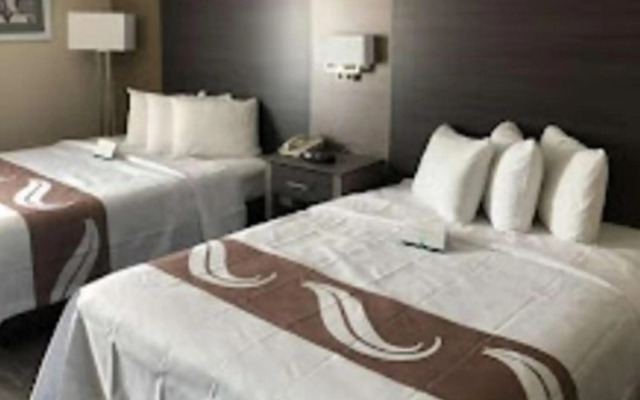Quality Inn & Suites Roanoke - Fort Worth North