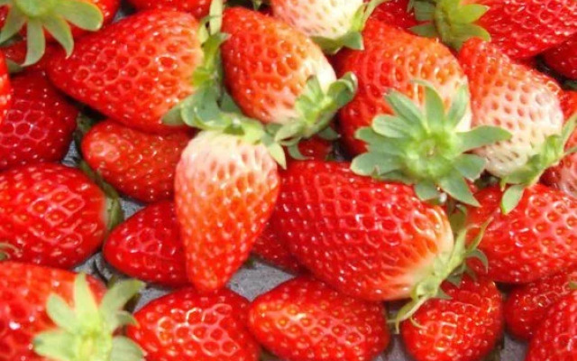 Hotel Sun Valley Waraku