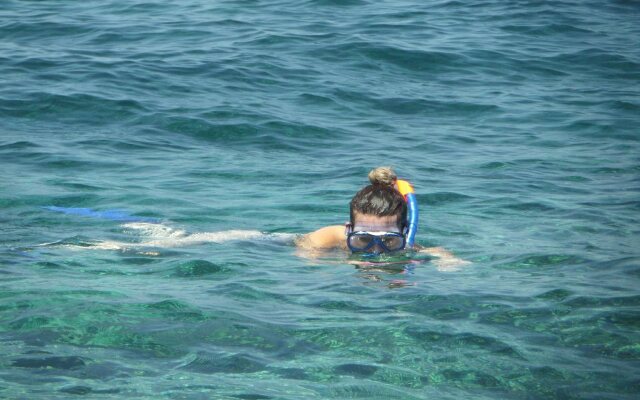 Mangrove Paradise Retreat