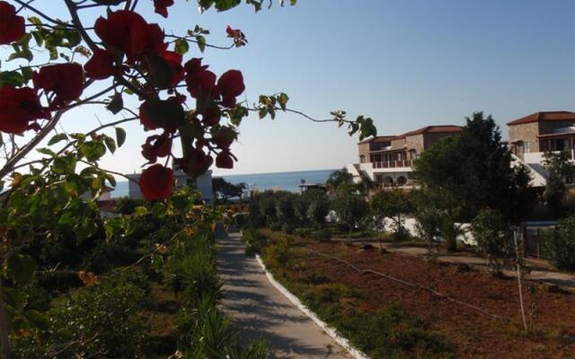Amaryllis Front Beach Hotel