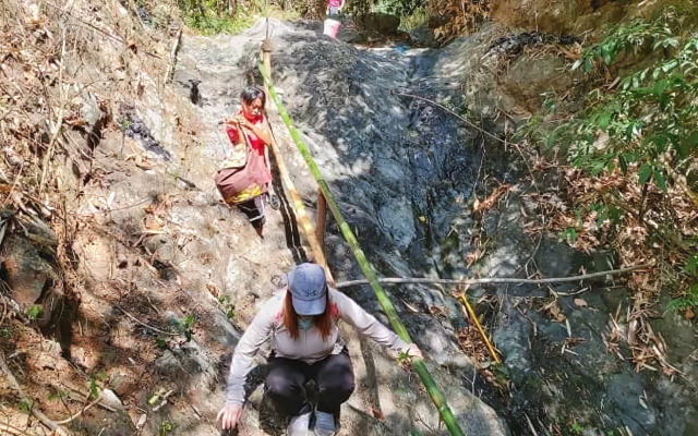 Singalong Nature Camphill Site