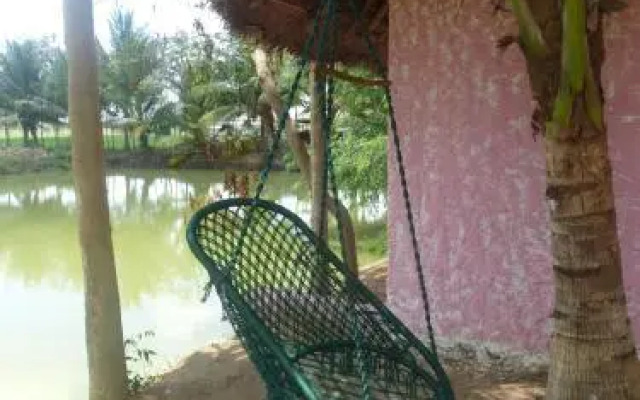 Paddy Homestay
