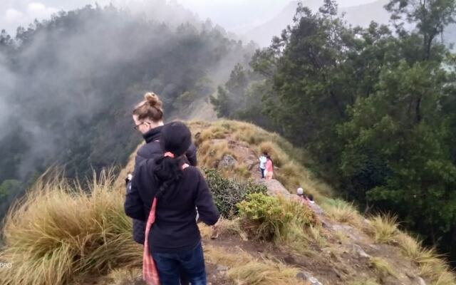 Munnar Jungle Camp