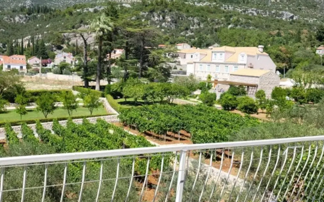 Apartments Villa Novak