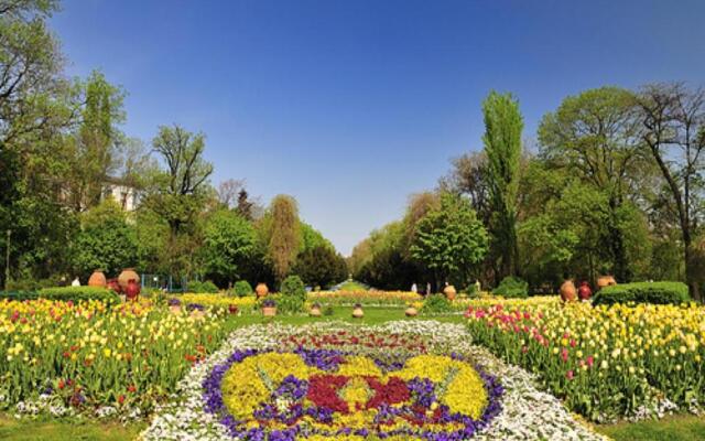 Studio Cismigiu Park