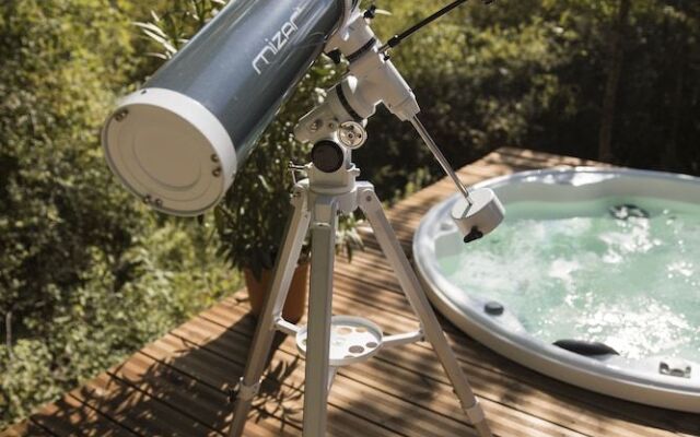 Chrysalide Saint Martin