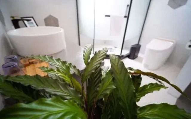 Shanghai Jingxin Homestay