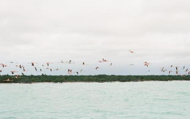 Turks and Caicos Oceanside