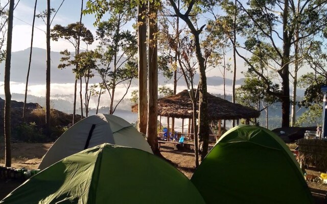 Munnar Jungle Camp