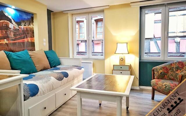 Splendide Appartement Barr - Route du Vins