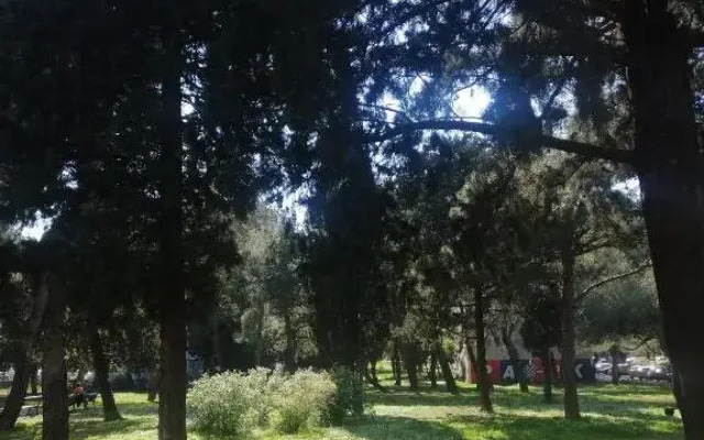 Apartment Lux Near City Center