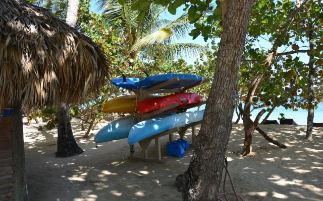 Magic Nature at Las Terrenas