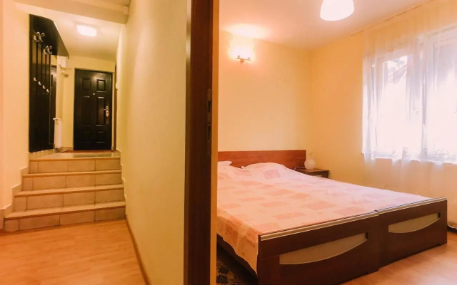 Spacious Apartment near Peles